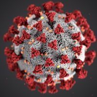 Interner Link: Hinweis zur Corona-Schutzimpfung