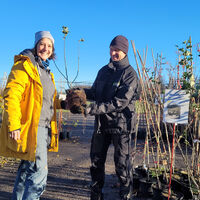 Interner Link: Nordfriesinnen und Nordfriesen übernehmen Patenschaften für 960 Bäume
